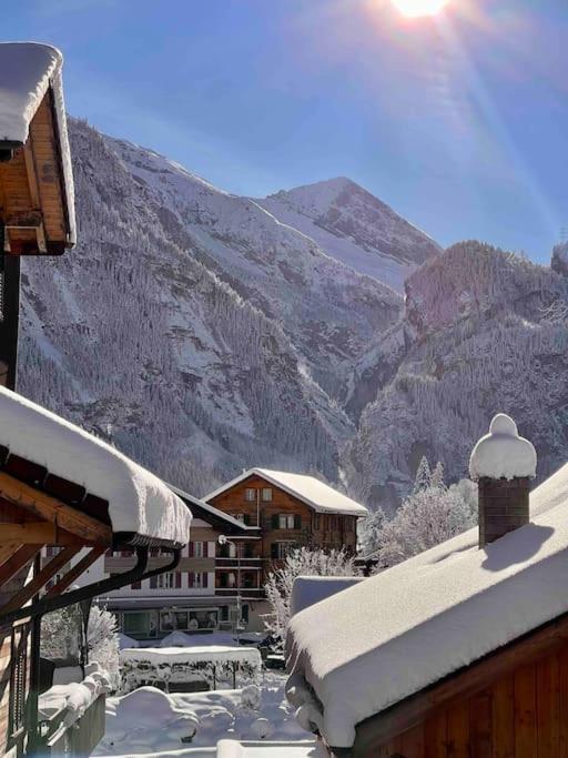 Appartement Alpine *