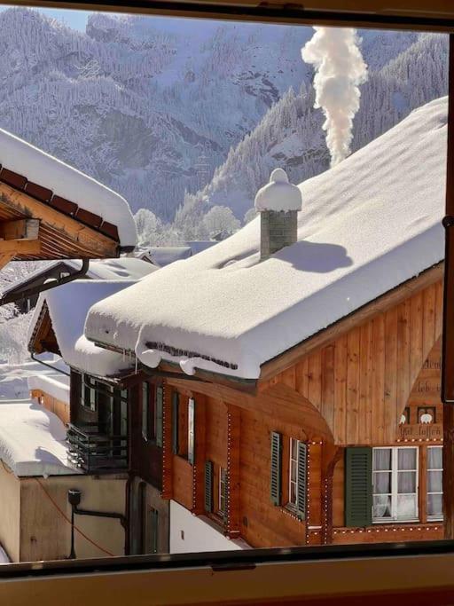 Appartement Alpine