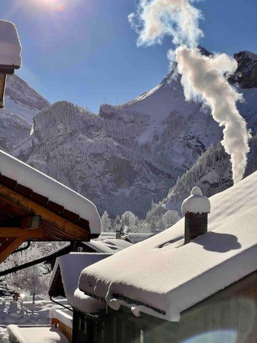 Alpine Appartement
